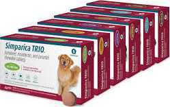 simparica-trio-for-dogs-save-up-to-20-extra-5-off-auto-orders-big-0