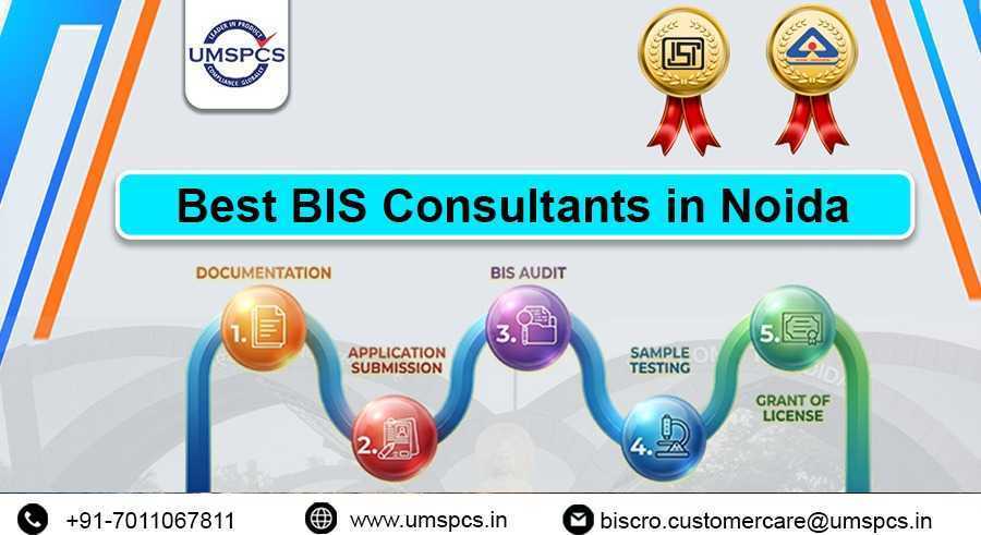 what-services-do-bis-consultants-in-noida-offer-big-0