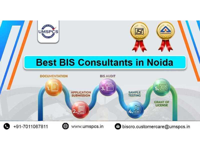 what-services-do-bis-consultants-in-noida-offer-small-0
