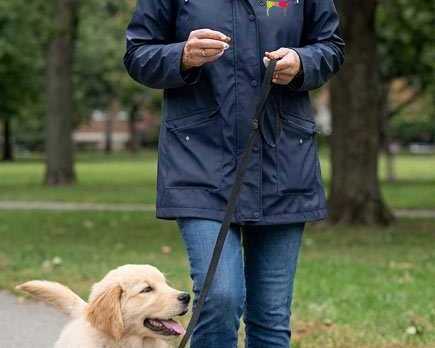 professional-puppy-trainer-for-early-success-in-nassau-county