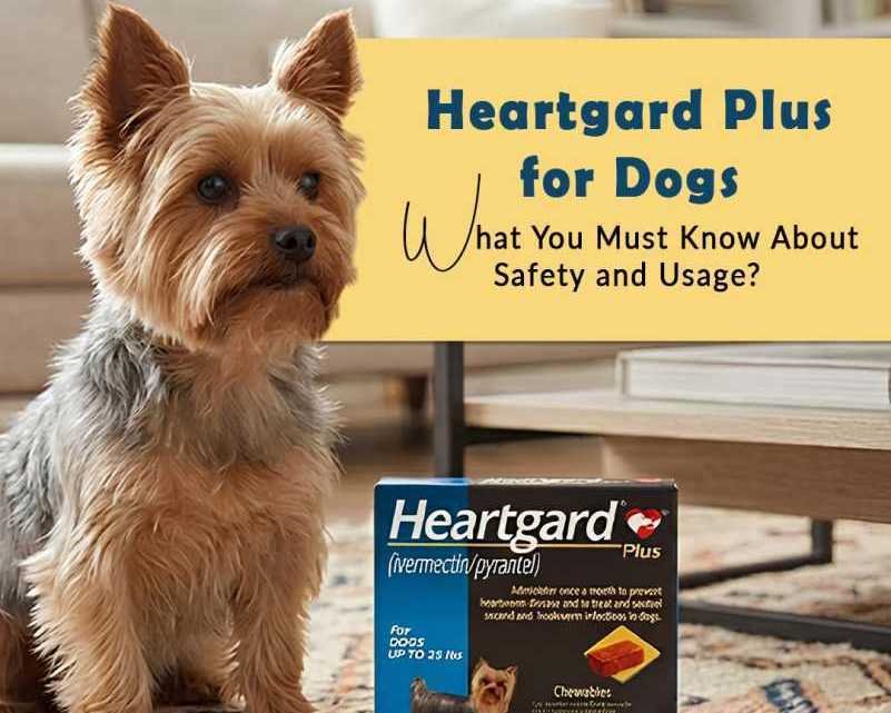 heartgard-plus-dosage-benefits-safety-guide-for-dogs-petcareclub