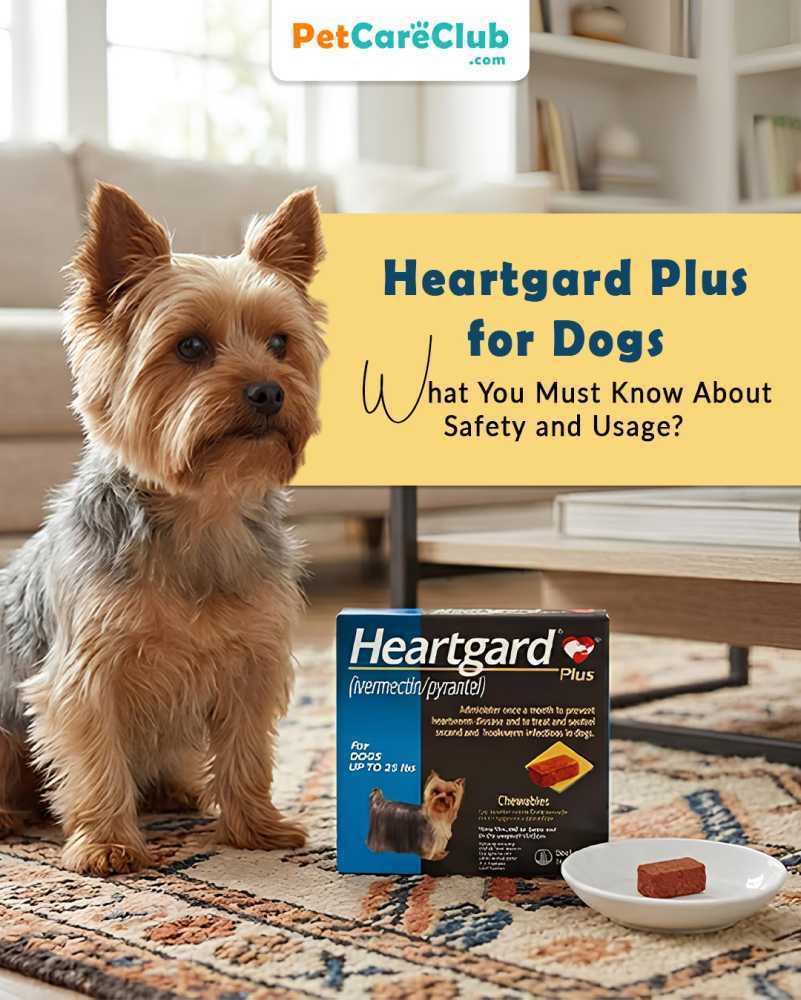 heartgard-plus-dosage-benefits-safety-guide-for-dogs-petcareclub-big-0