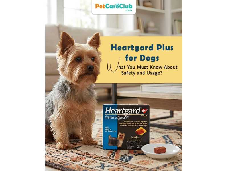heartgard-plus-dosage-benefits-safety-guide-for-dogs-petcareclub-small-0