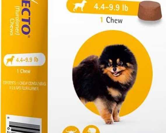 buy-bravecto-for-dogs-long-lasting-flea-tick-protection