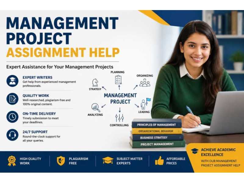 management-project-assignment-help-expert-guidance-small-0