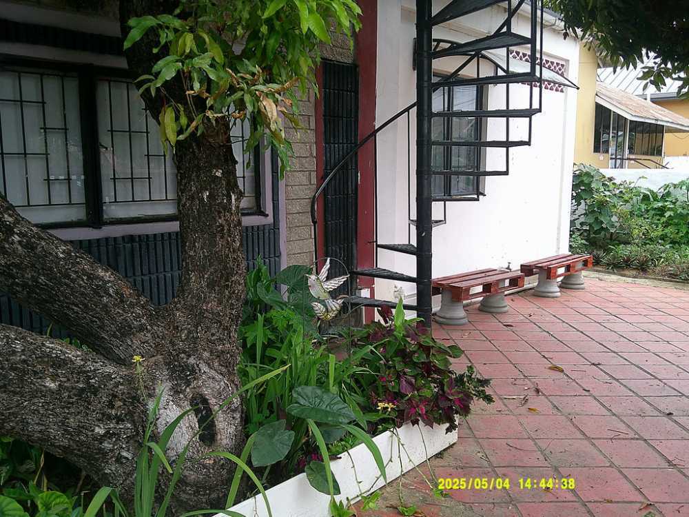 boutique-stays-in-trinidad-and-tobago-for-a-unique-island-experience-big-0