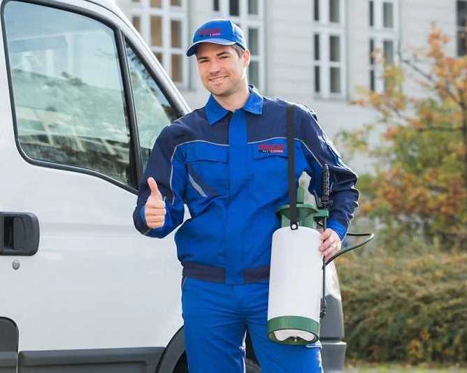 your-go-to-pest-control-service-provider-in-surrey