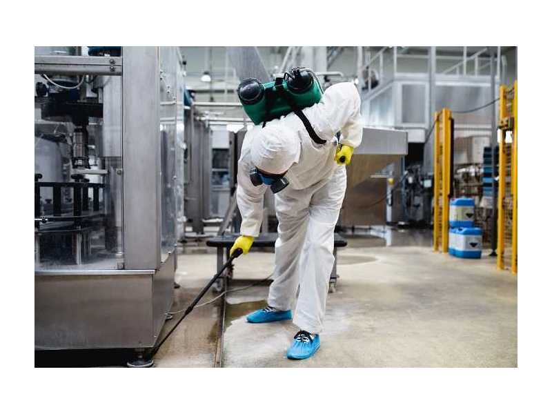 choose-the-leading-langley-pest-control-company-for-results-small-0