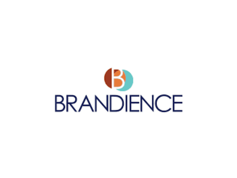brandience-small-0