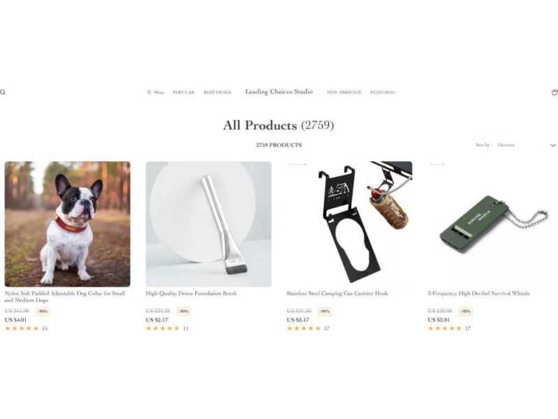 leadingchoicesstudio-shop-10-offer-all-products-small-0