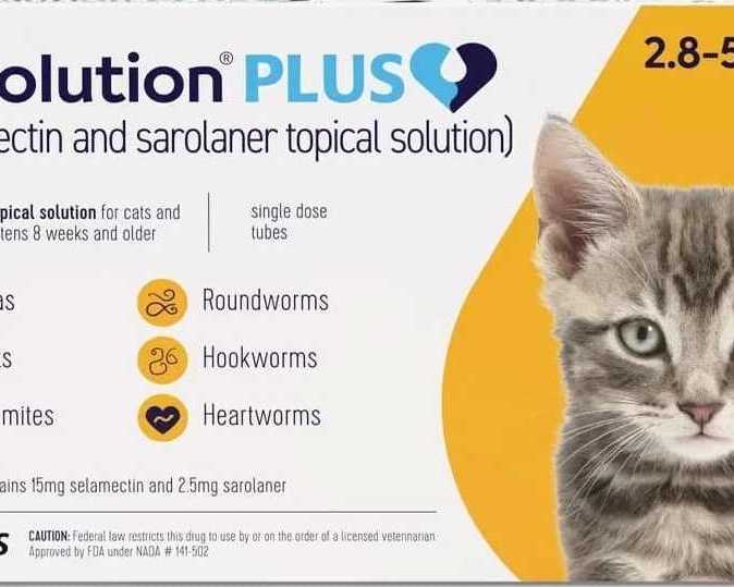 revolutin-plus-for-cats-starts-from-3865-canadavetexpress