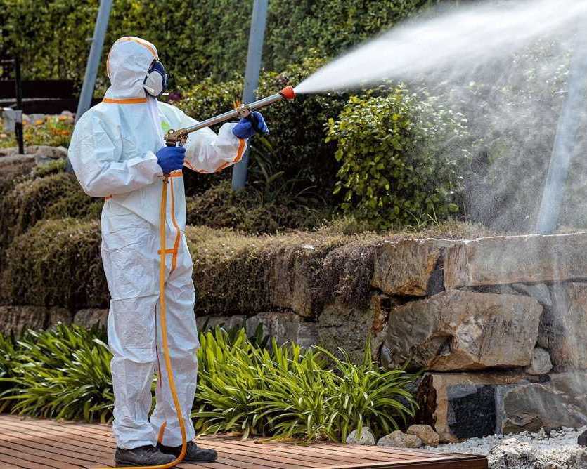 sustainable-garden-protection-solutions-organic-pest-control-for-garden