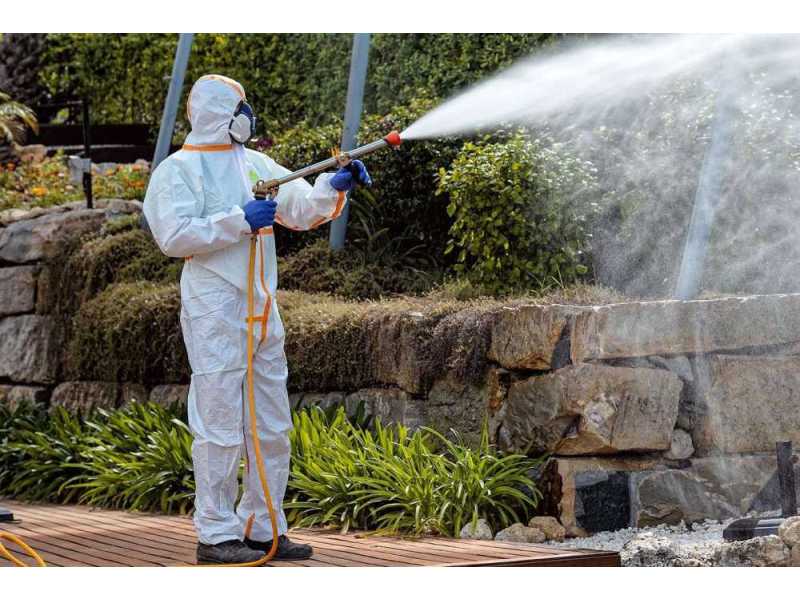 sustainable-garden-protection-solutions-organic-pest-control-for-garden-small-0