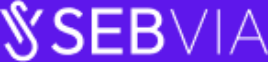 sebvia-custom-software-development-web-solutions-ai-services-big-0