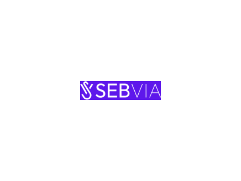 sebvia-custom-software-development-web-solutions-ai-services-small-0
