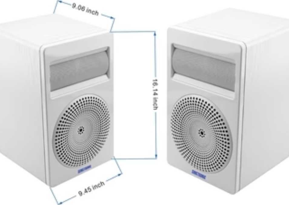 powerful-karaoke-speakers-for-crystal-clear-sound-big-performance-big-0