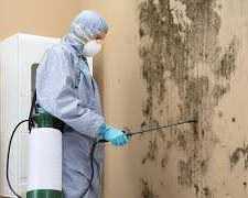 mold-solutions-home-services-indiana-mold-remediation-indy