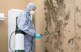 mold-solutions-home-services-indiana-mold-remediation-indy-big-0
