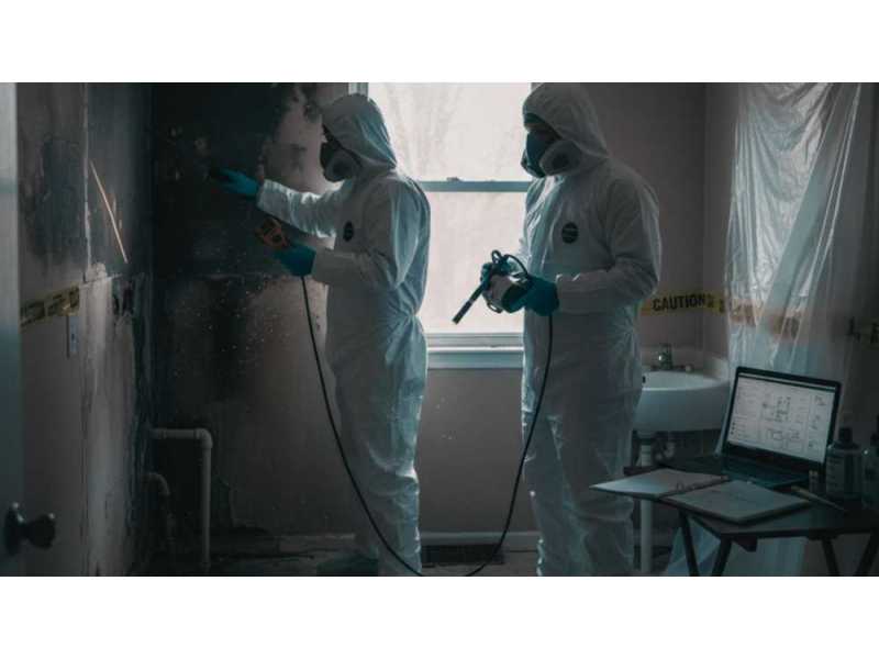 mold-violation-new-york-small-0