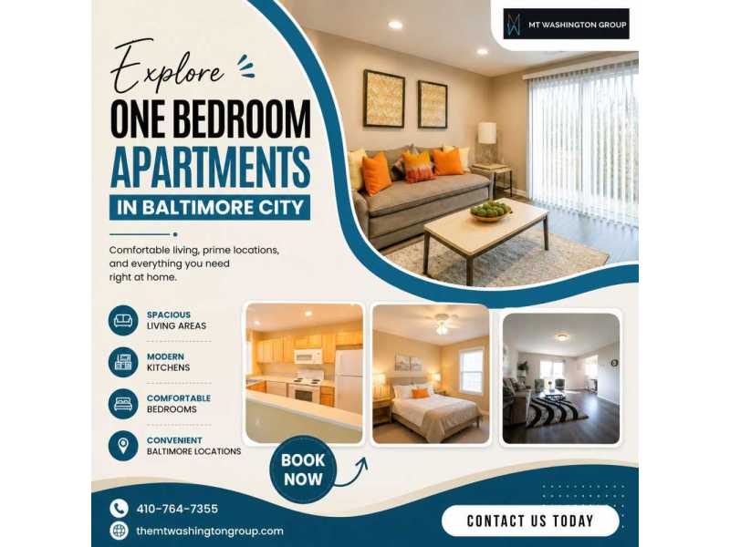 explore-one-bedroom-apartments-in-baltimore-city-small-0
