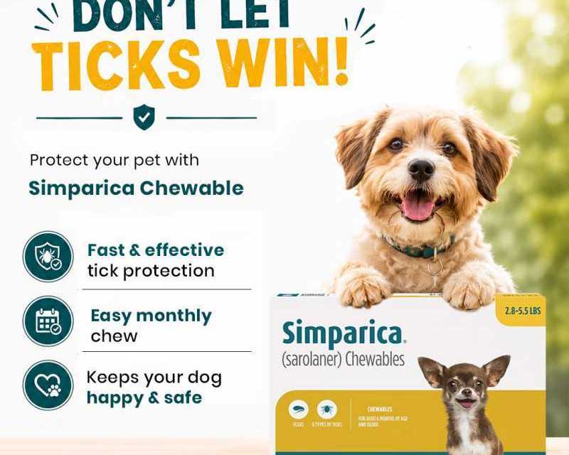buy-simparica-chewables-for-dogs-20-off-canadavetcare