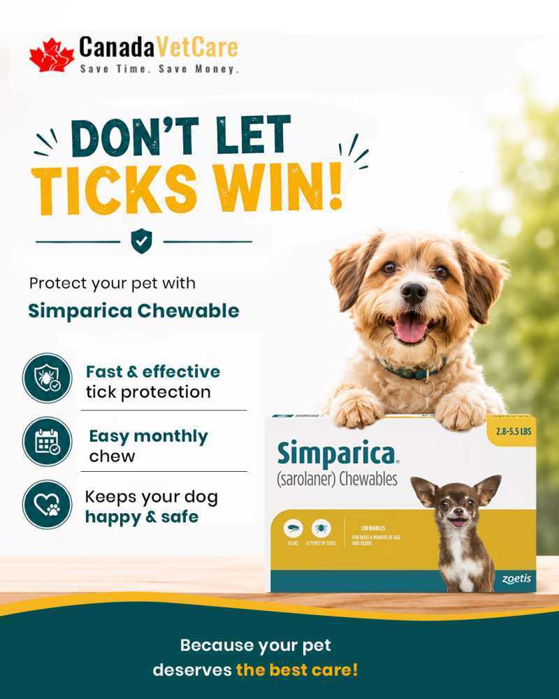 buy-simparica-chewables-for-dogs-20-off-canadavetcare-big-0