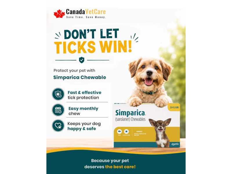 buy-simparica-chewables-for-dogs-20-off-canadavetcare-small-0