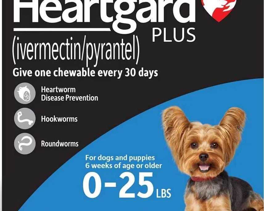 heartgard-plus-for-dogs-starts-from-3365-canadavetexpress