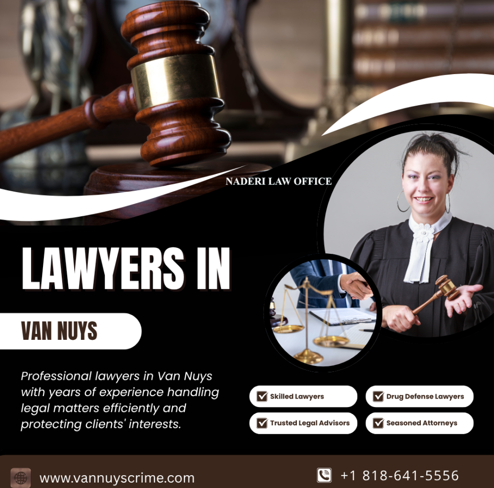 best-criminal-defense-lawyers-in-van-nuys-for-your-case-big-0