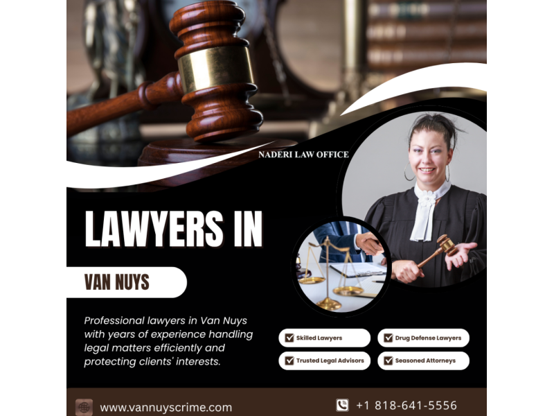 best-criminal-defense-lawyers-in-van-nuys-for-your-case-small-0