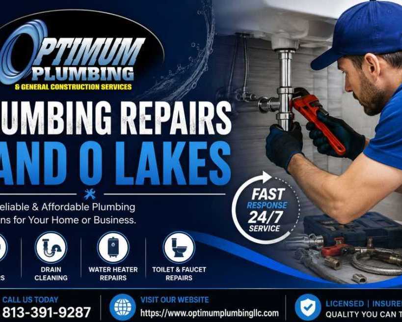 expert-plumber-land-o-lakes-fl-drain-cleaning