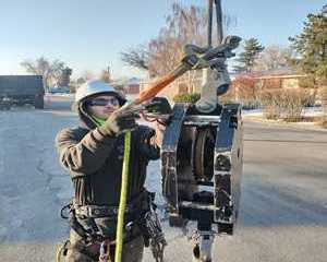 choose-the-best-tree-removal-sandy-ut-fast-safe-affordable-services