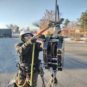 choose-the-best-tree-removal-sandy-ut-fast-safe-affordable-services-big-0