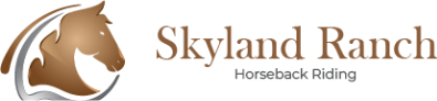 best-horse-riding-spots-for-memorable-outdoor-adventures-big-0