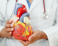 homeopathic-treatment-for-cardiovascular-disease