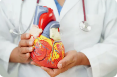 homeopathic-treatment-for-cardiovascular-disease-big-0