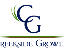 choose-a-reliable-sod-supplier-near-punta-gorda-for-lawn-success