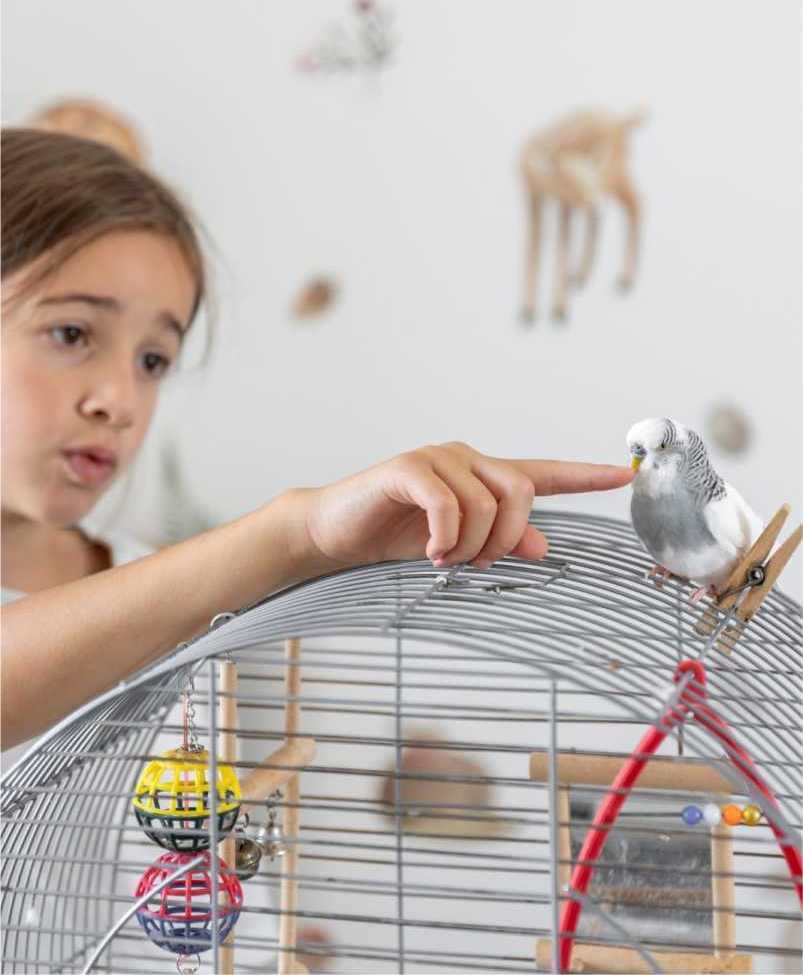 interactive-pet-toys-for-dogs-and-cats-fun-engaging-playtime-big-0