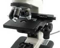 refurbished-compound-microscopes-for-sale-new-york-microscope-company-inc