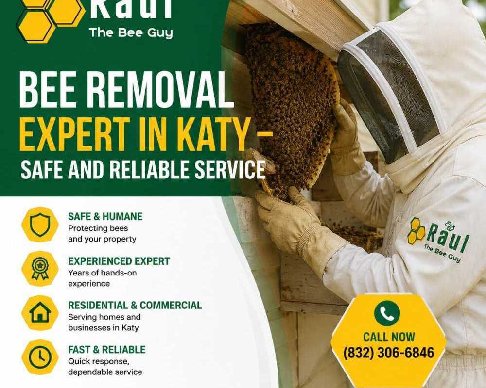 bee-removal-expert-in-katy-safe-and-reliable-service