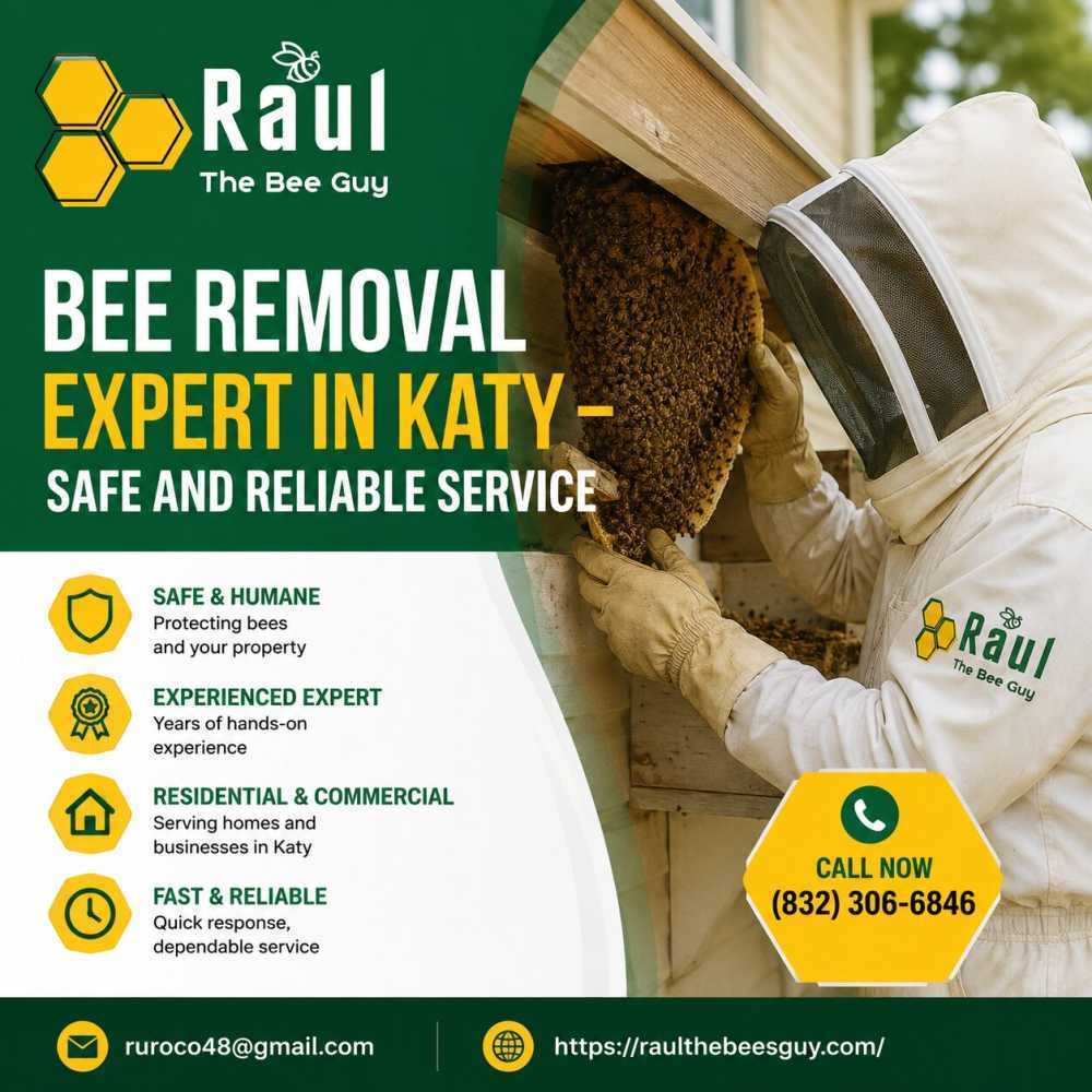bee-removal-expert-in-katy-safe-and-reliable-service-big-0