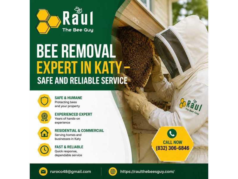 bee-removal-expert-in-katy-safe-and-reliable-service-small-0