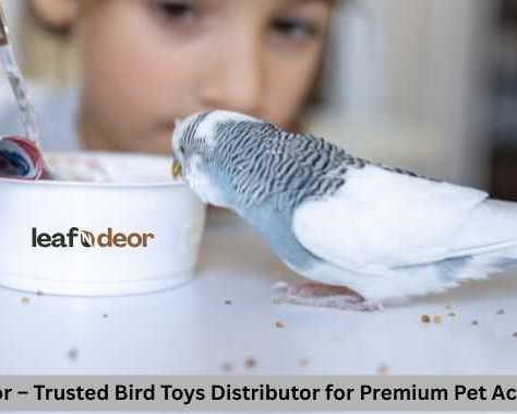 leafndeor-trusted-bird-toys-distributor-for-premium-pet-accessories