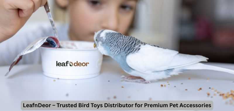 leafndeor-trusted-bird-toys-distributor-for-premium-pet-accessories-big-0