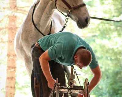 horse-farrier-horseshoer-farrier-services