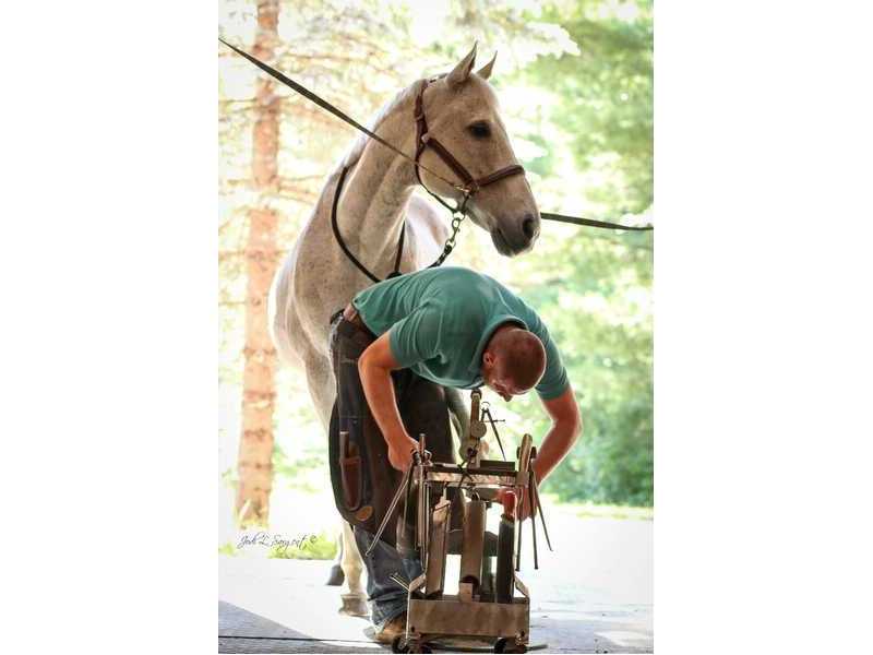 horse-farrier-horseshoer-farrier-services-small-0