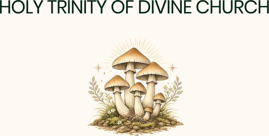 get-mushrooms-chocolate-santa-clara-big-0