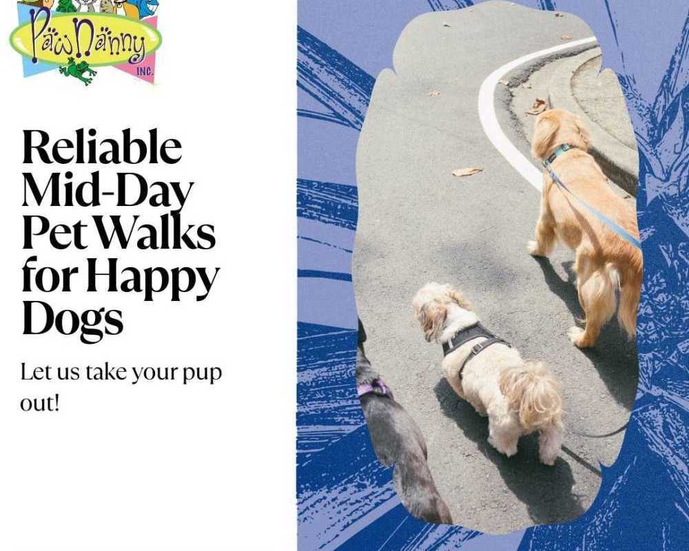 trusted-pet-walk-services-in-fairfax-va