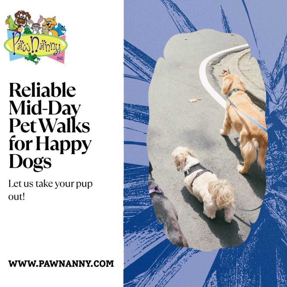 trusted-pet-walk-services-in-fairfax-va-big-0