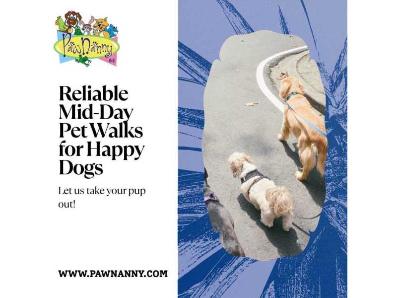 trusted-pet-walk-services-in-fairfax-va-small-0